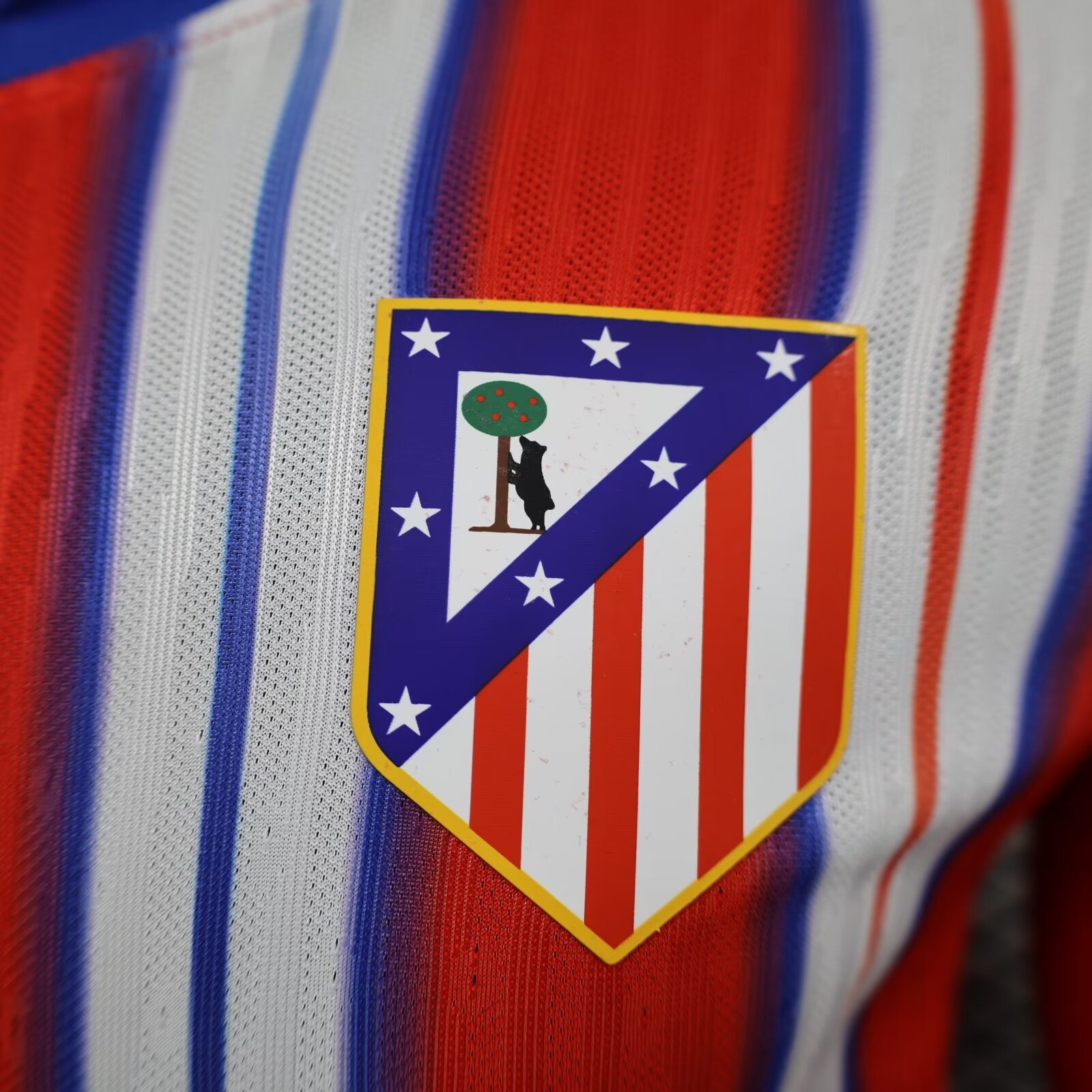 Atlético Madrid Player 2024-25 3