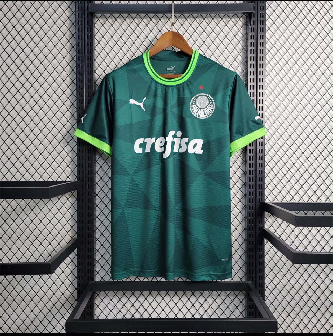 Palmeiras 2023 — Principal